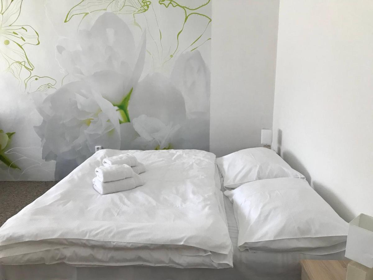 Apartman Na Namesti Apartman Opočno Kültér fotó