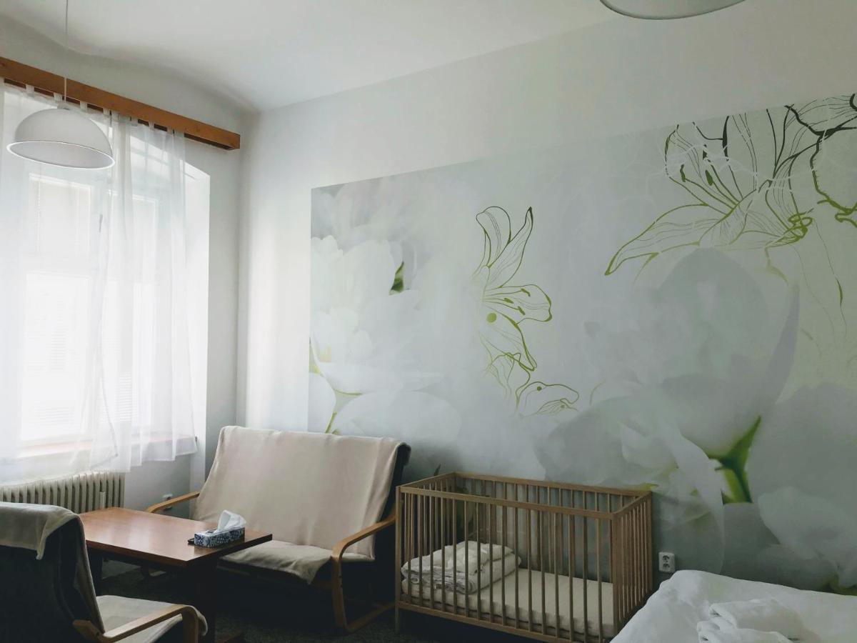 Apartman Na Namesti Apartman Opočno Kültér fotó