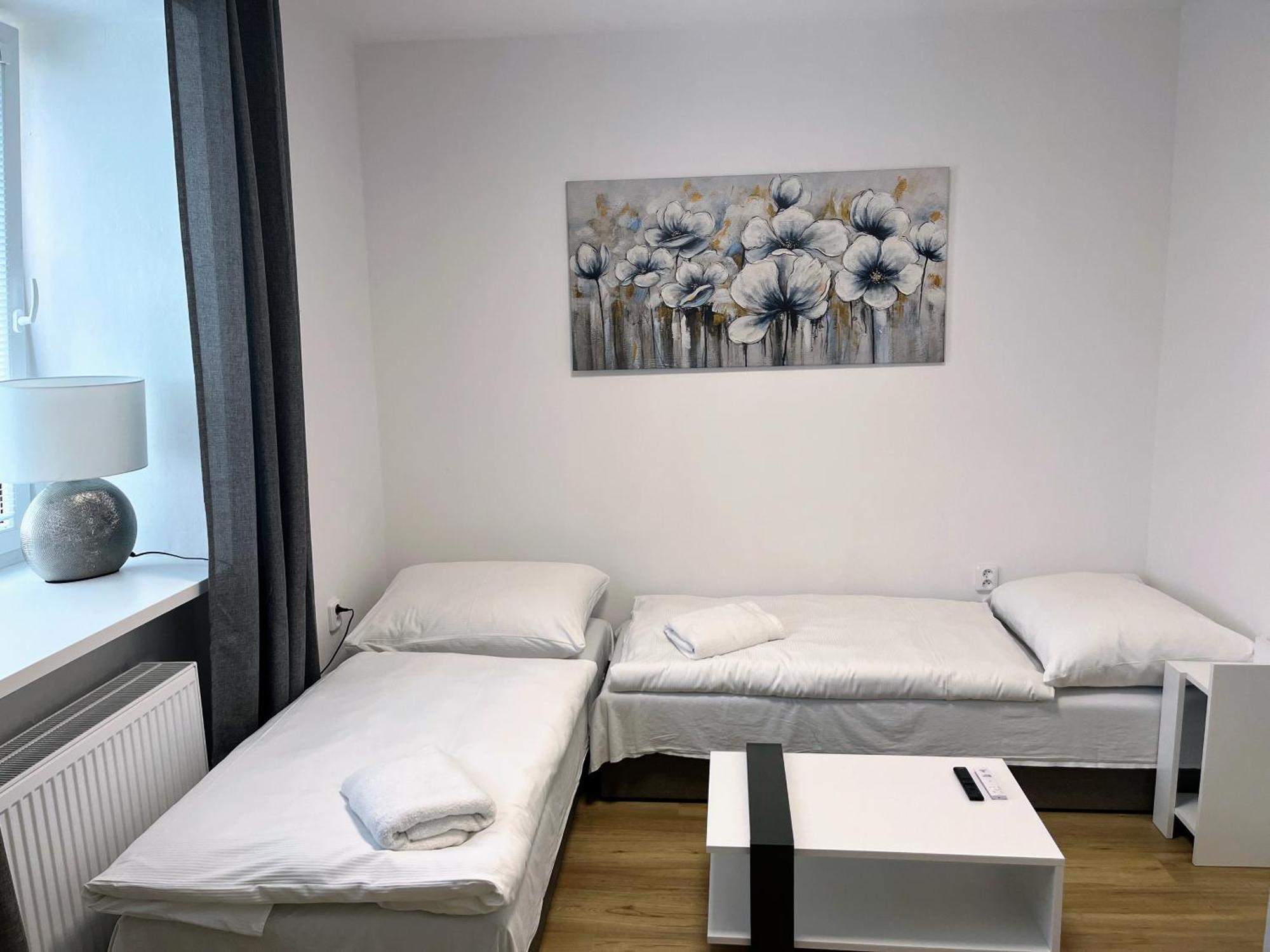 Apartman Na Namesti Apartman Opočno Kültér fotó